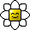 Smiley daisy.gif
